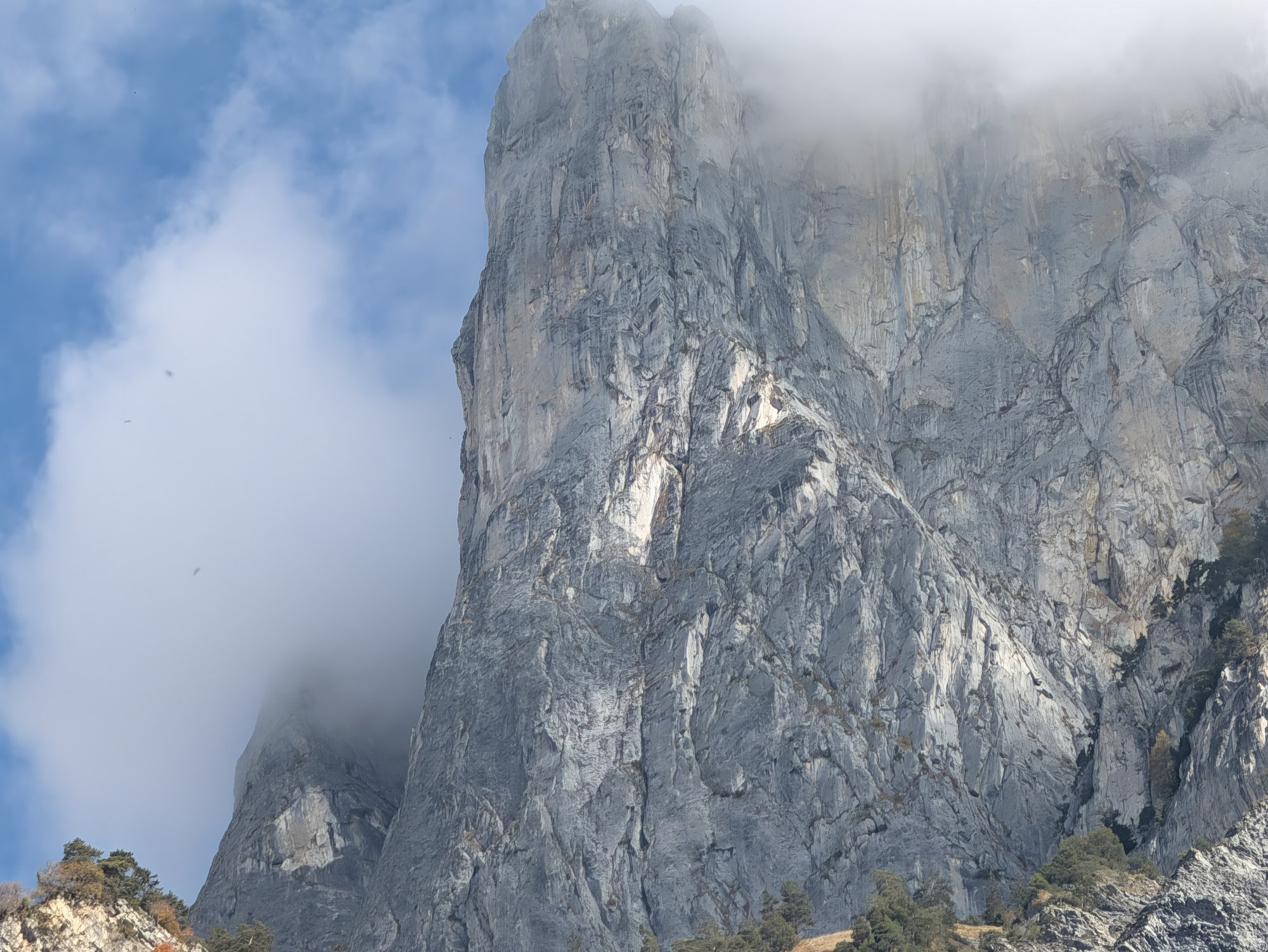 Paroi rocheuse grise dans la brume, pins et végétation d'automne au pied